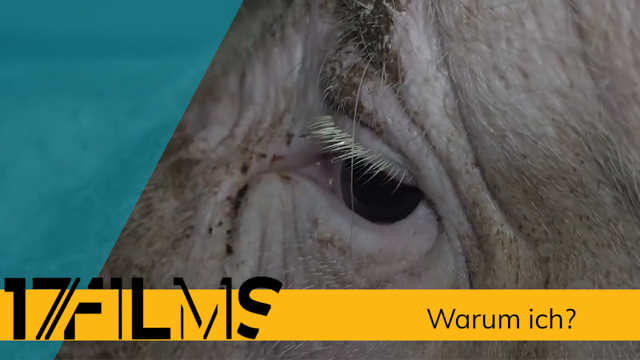 Warum ich?